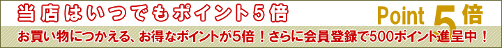 �ݥ����5��
