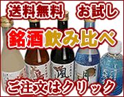 ̾�򾮥ӥ������١�
